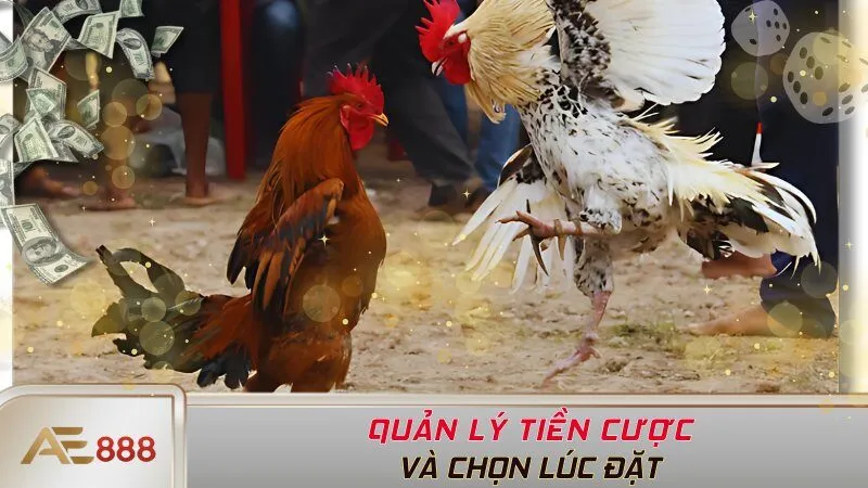 Quản lý tiền cược và chọn lúc đặt